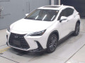 2023 Lexus NX