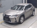 2021 Lexus UX