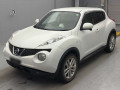 2013 Nissan JUKE
