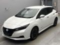 2022 Nissan Leaf