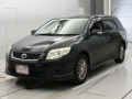 2010 Toyota Corolla Fielder