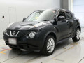 2010 Nissan JUKE