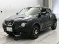2012 Nissan JUKE