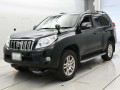 2011 Toyota Land Cruiser Prado