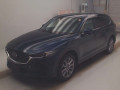2019 Mazda CX-8