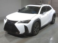 2019 Lexus UX