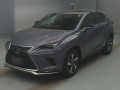 2021 Lexus NX