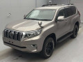 2019 Toyota Land Cruiser Prado