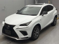 2020 Lexus NX