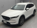 2019 Mazda CX-8