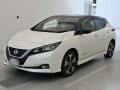 2021 Nissan Leaf