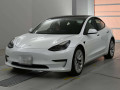 2021 Others MODEL 3