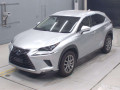 2019 Lexus NX