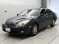 2005 Toyota Windom