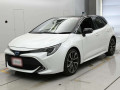 2021 Toyota Corolla Sports
