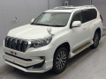 2019 Toyota Land Cruiser Prado