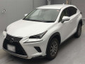 2021 Lexus NX