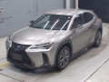 2021 Lexus UX