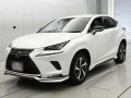 2021 Lexus NX