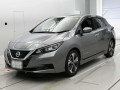 2019 Nissan Leaf
