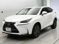 2014 Lexus NX