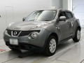 2012 Nissan JUKE