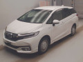 2019 Honda SHUTTLE