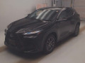 2024 Lexus NX
