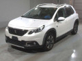 2019 Peugeot 2008