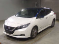 2019 Nissan Leaf
