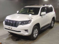 2019 Toyota Land Cruiser Prado