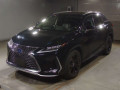 2021 Lexus RX