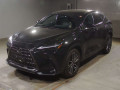 2023 Lexus NX