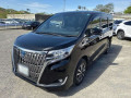 2021 Toyota Esquire