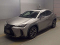 2019 Lexus UX
