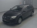2010 Toyota Corolla Fielder