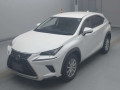 2020 Lexus NX