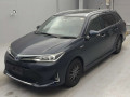 2019 Toyota Corolla Fielder
