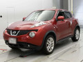 2013 Nissan JUKE