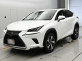 2019 Lexus NX