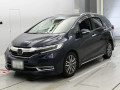 2020 Honda SHUTTLE