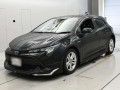 2019 Toyota Corolla Sports