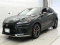 2025 Lexus RX