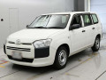 2019 Toyota Probox