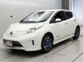 2015 Nissan Leaf