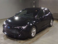 2019 Toyota Corolla Sports