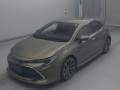 2019 Toyota Corolla Sports