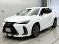 2019 Lexus UX