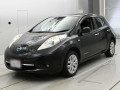 2014 Nissan Leaf