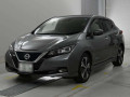 2020 Nissan Leaf